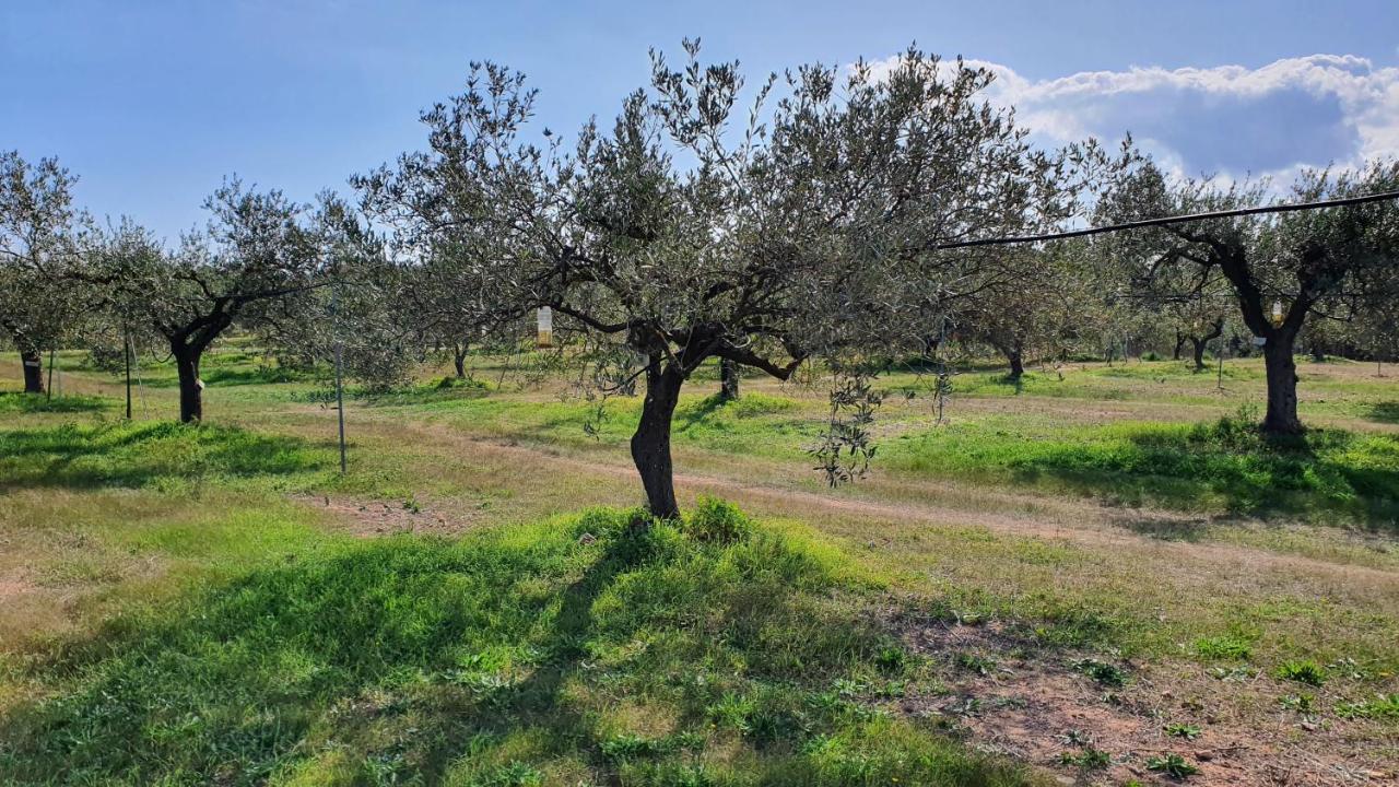 Agriturismo Corte Degli Ulivi Capoterra Exterior foto