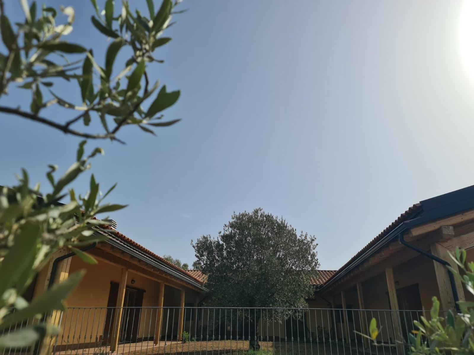 Agriturismo Corte Degli Ulivi Capoterra Exterior foto