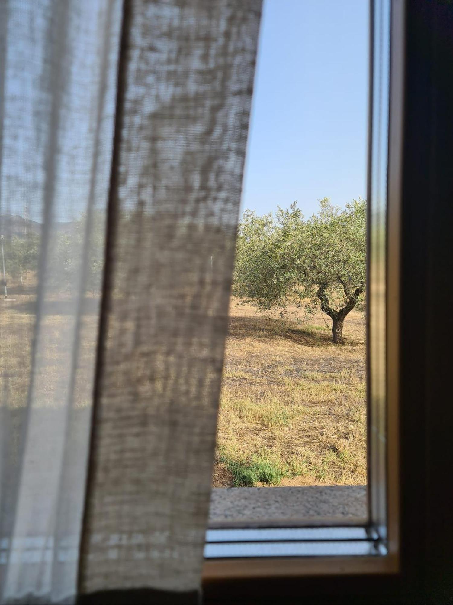 Agriturismo Corte Degli Ulivi Capoterra Exterior foto
